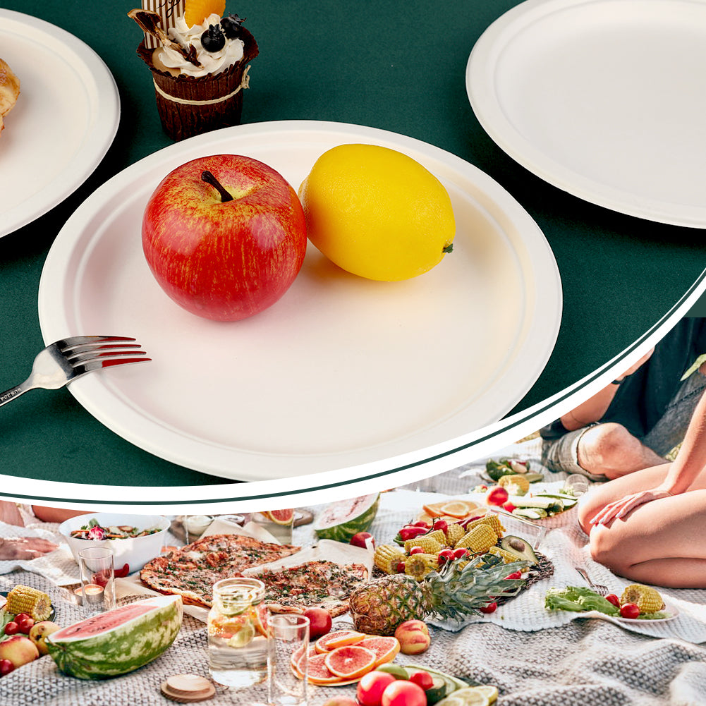 9 Inch Compostable Dessert Plates, Heavyduty Sugarcane/Bagasse And Bamboo Fibre Biodegradable Disposable Paper Plate - View #8