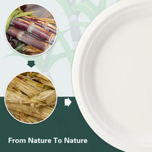 Load image into Gallery viewer, Wuadua 9 Inch Disposable Sugarcane Paper Plates [70-Pack]
